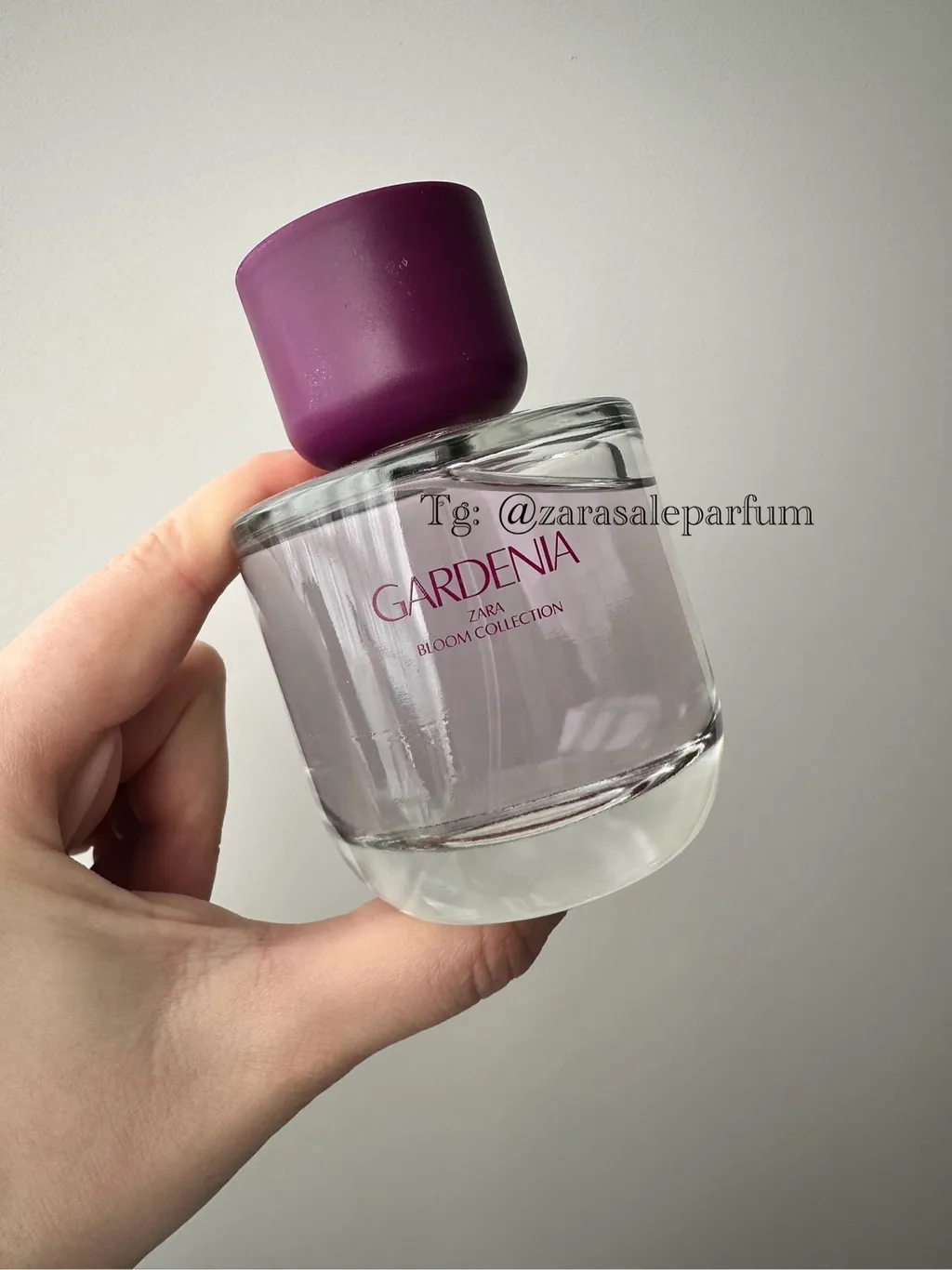 Духи zara gardenia 90ml eau de parfume парфуми zara gardenia 90ml з набору